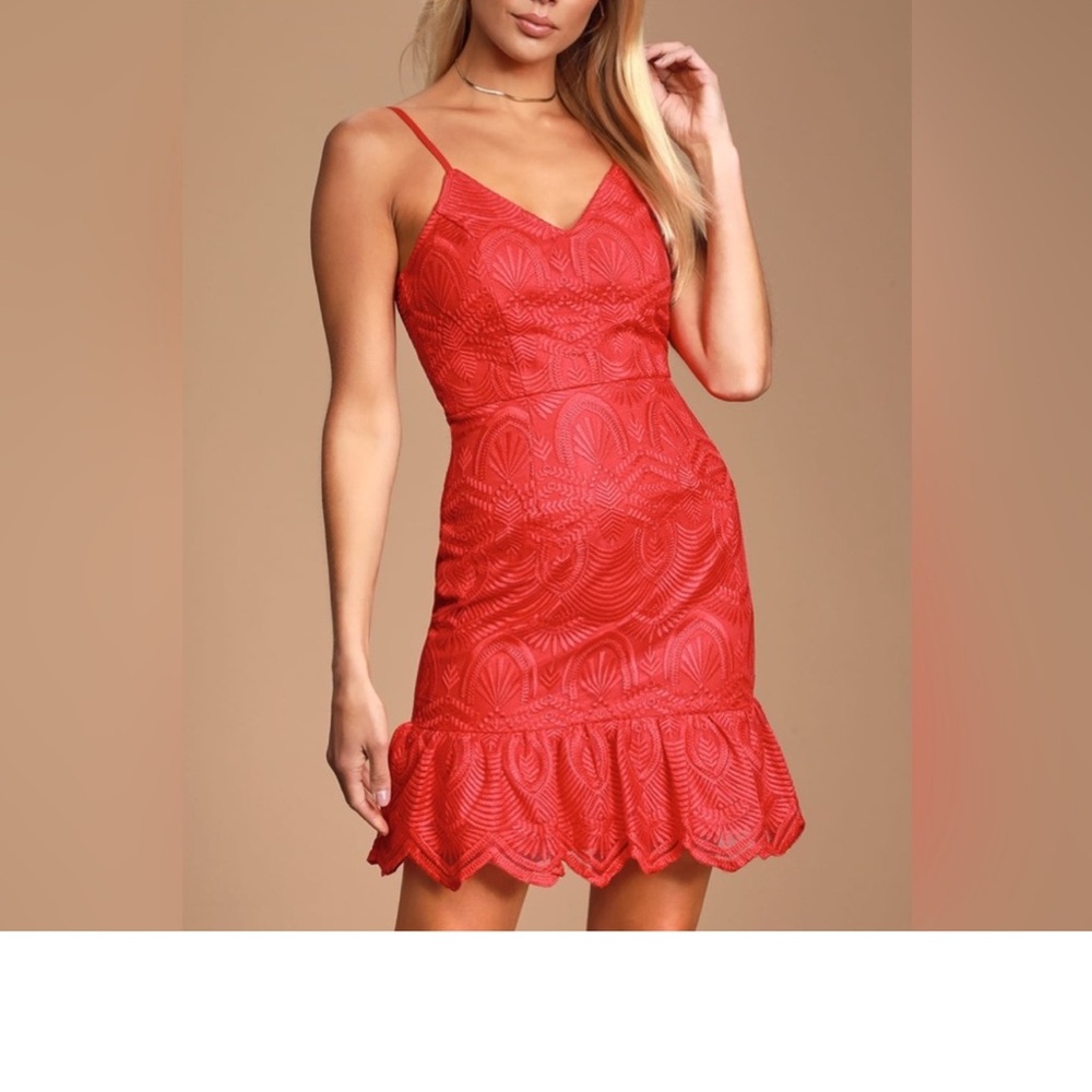 Lulus shura cherry dress